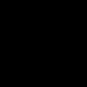 Meet your Posher, Demarcus